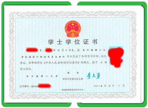 仿制证件DIY vs 专业定制:哪种更划算?
