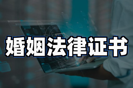 仿制证件DIY vs 专业定制:哪种更划算?